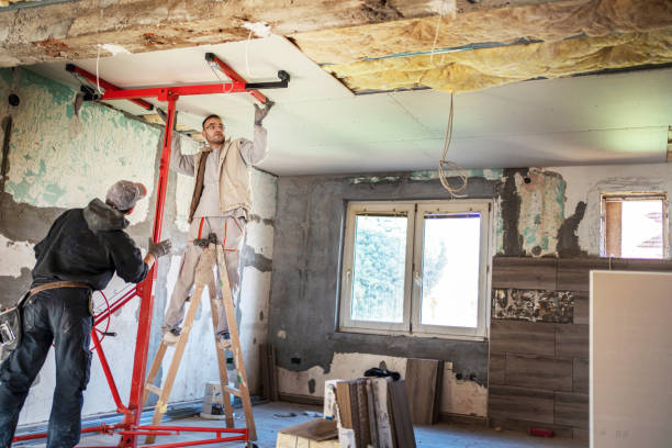 Best Types of Insulation in Bellevle, IL